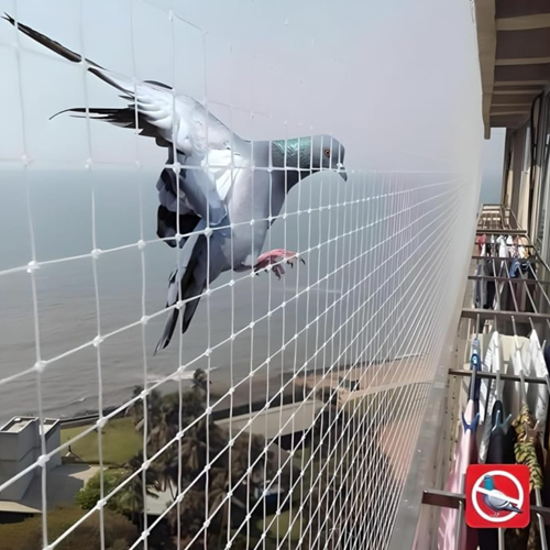 Welcome To Ishita Bird Netting