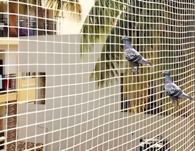 Bird Net Installation Services In Noida